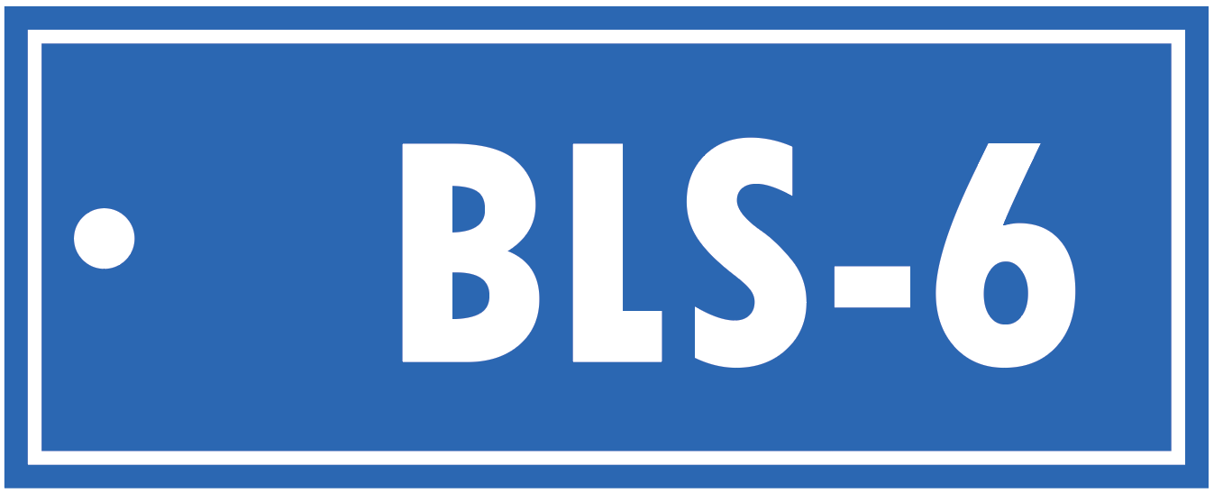 ALPHA-NUMERIC BLS TAG