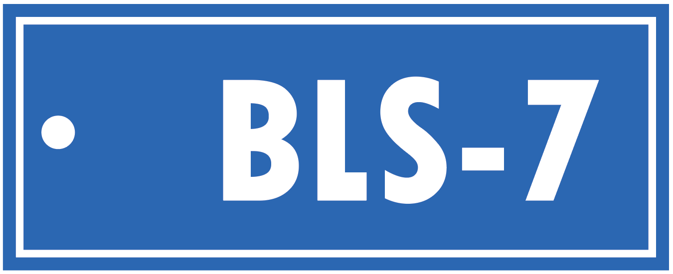 ALPHA-NUMERIC BLS TAG